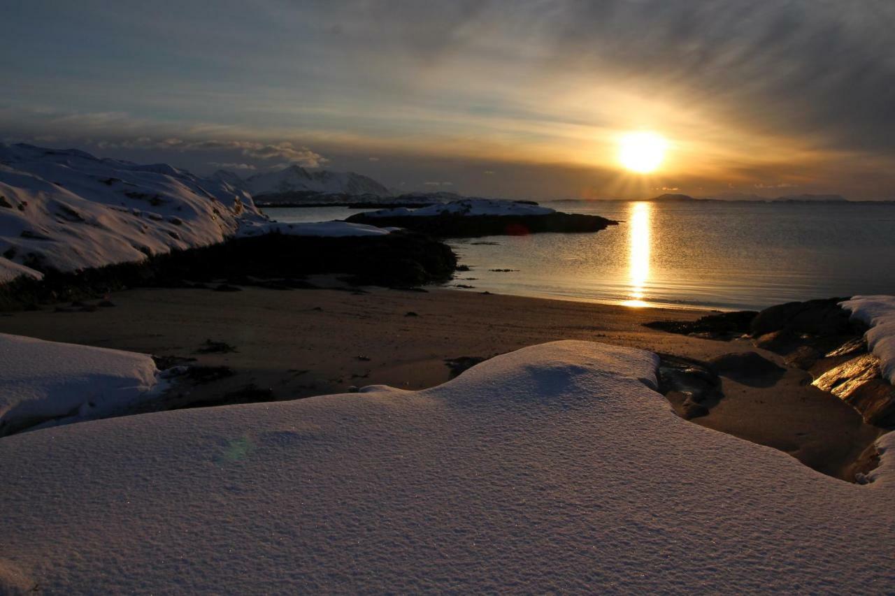 Superior Cottage With Sea View In Senja Senjehesten Exteriér fotografie